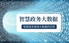 智慧政務(wù)使用大數(shù)據(jù)的優(yōu)勢在于哪？