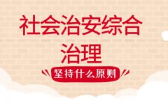 社會治安綜合治理要堅持什么原則